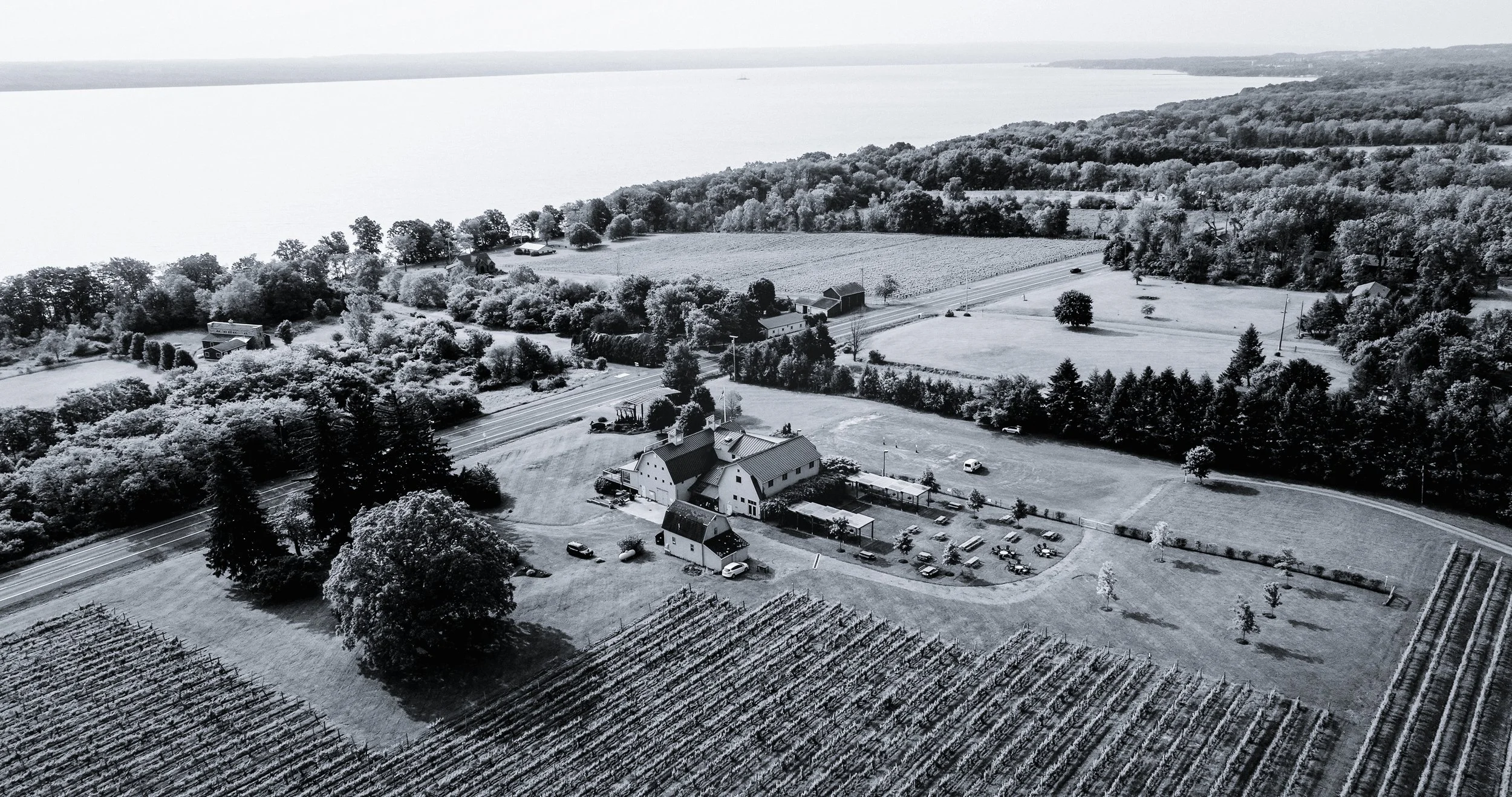 About | Award-Winning Wines on Seneca lake — Fox Run Vineyards